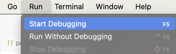 VS Code Debug Button